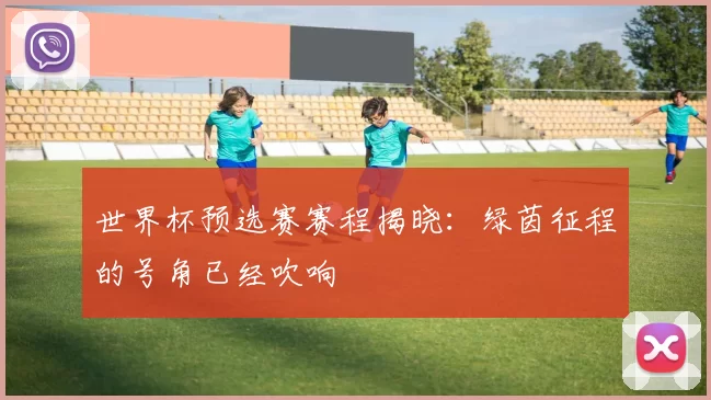世界杯预选赛赛程揭晓：绿茵征程的号角已经吹响