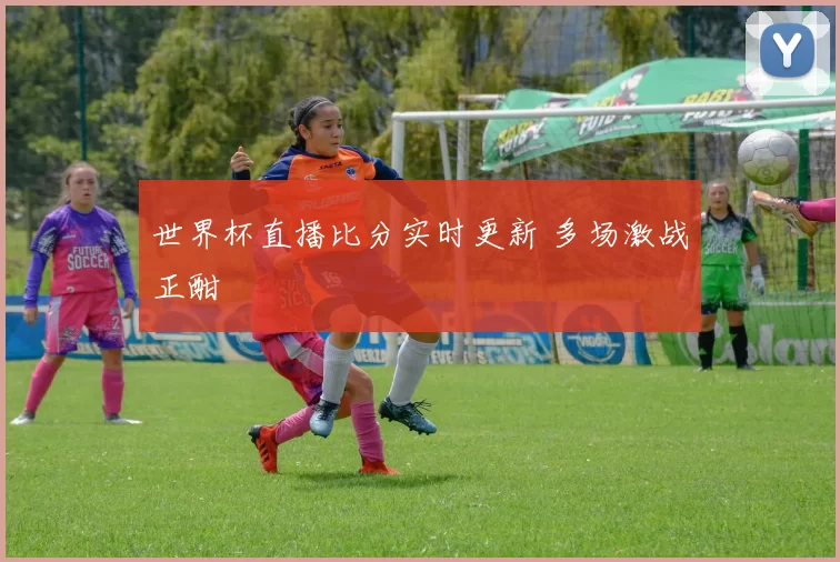 世界杯直播比分实时更新 多场激战正酣