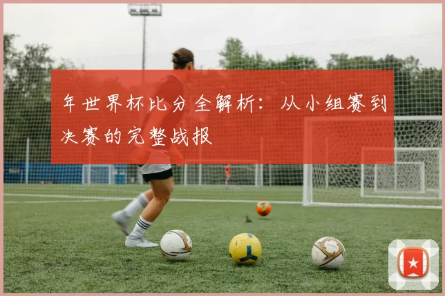 年世界杯比分全解析：从小组赛到决赛的完整战报