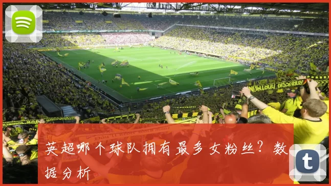 英超哪个球队拥有最多女粉丝?数据分析