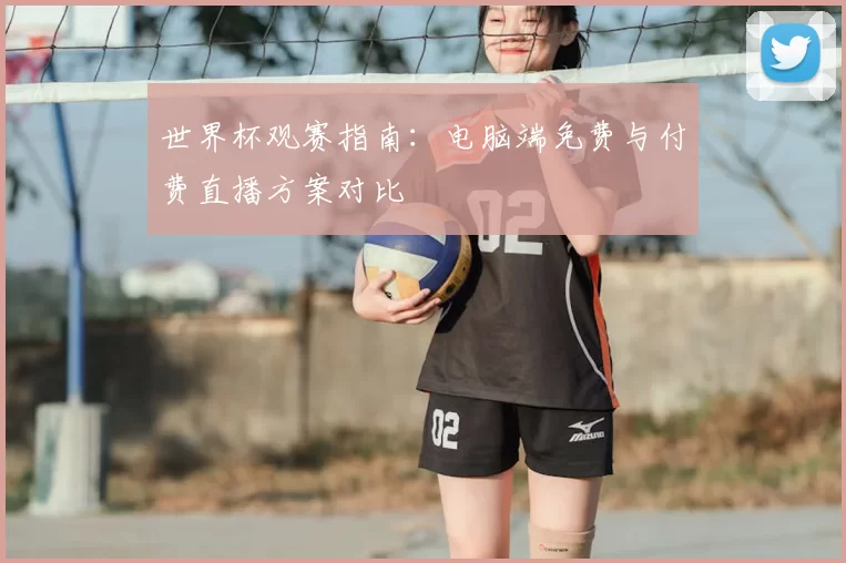 世界杯观赛指南：电脑端免费与付费直播方案对比