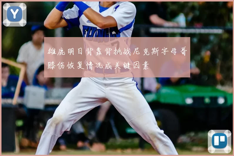 雄鹿明日背靠背挑战尼克斯字母哥膝伤恢复情况成关键因素
