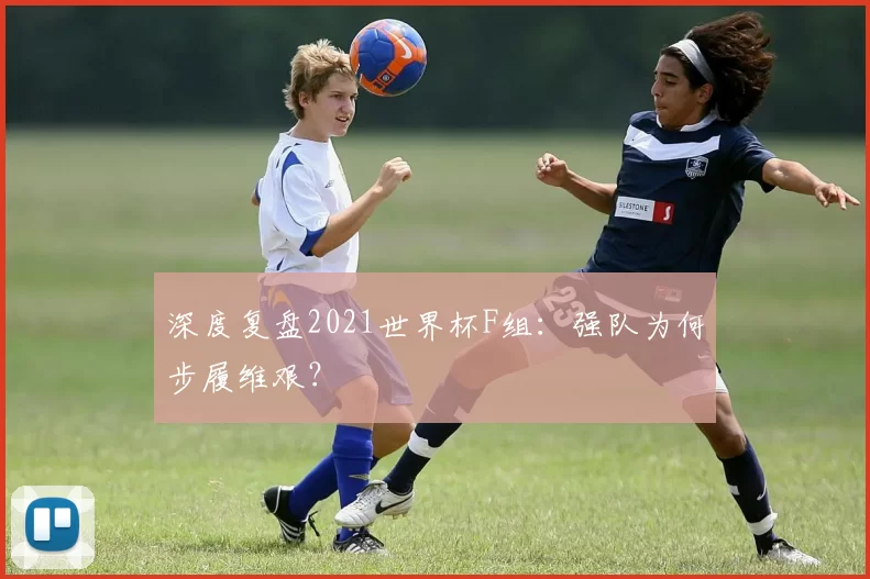 深度复盘2021世界杯F组：强队为何步履维艰？