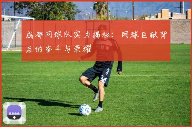 成都网球队实力揭秘:网球巨献背后的奋斗与荣耀
