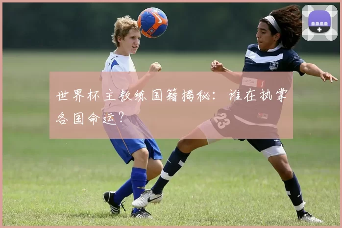 世界杯主教练国籍揭秘:谁在执掌各国命运?
