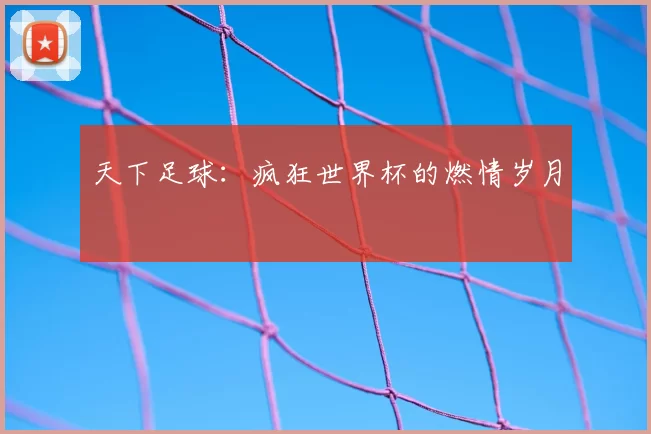 天下足球：疯狂世界杯的燃情岁月