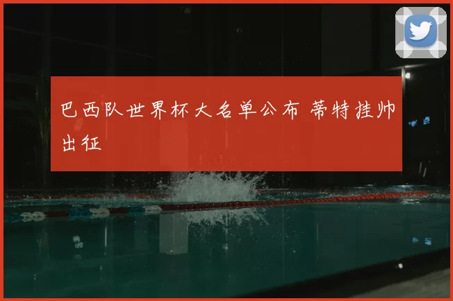 巴西队世界杯大名单公布 蒂特挂帅出征