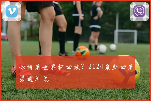 如何看世界杯回放?2024最新回看渠道汇总