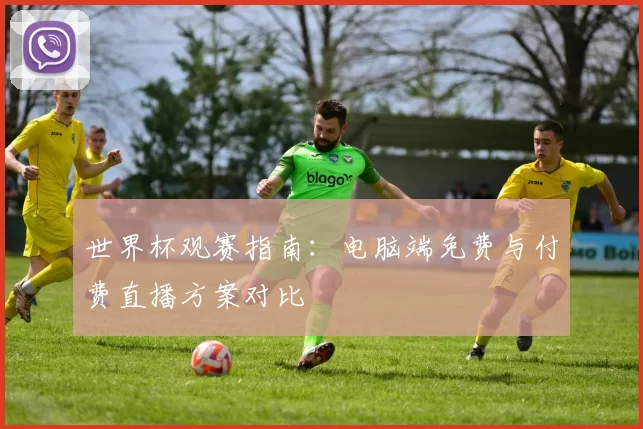 世界杯观赛指南:电脑端免费与付费直播方案对比