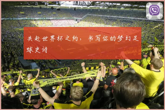 共赴世界杯之约,书写你的梦幻足球史诗