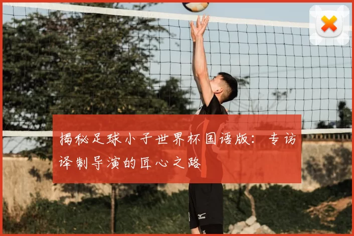 揭秘足球小子世界杯国语版:专访译制导演的匠心之路