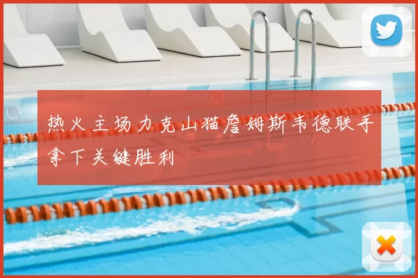 热火主场力克山猫詹姆斯韦德联手拿下关键胜利